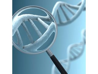 genetic-testing-for-cancer-in-delhi-ncr-small-0