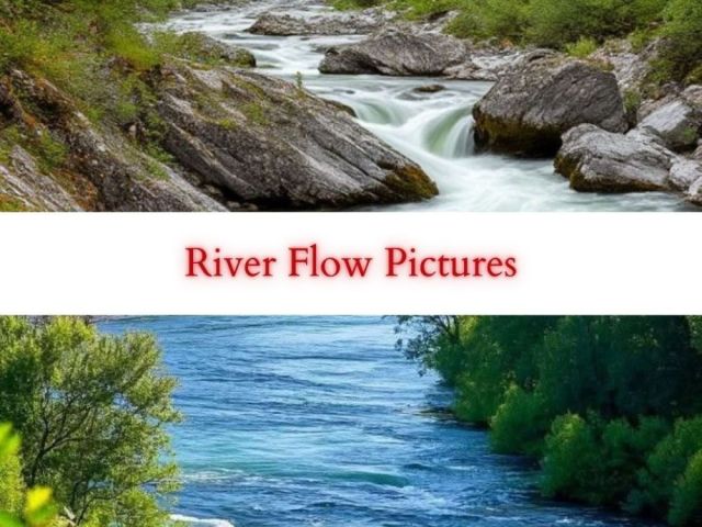 river-flow-pictures-by-fotolobby
