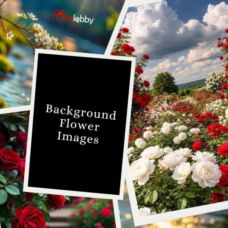 background-flower-images-by-fotolobby-big-0