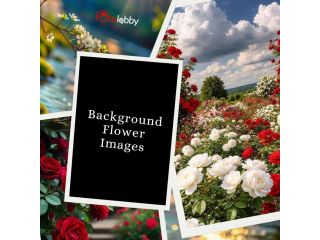 background-flower-images-by-fotolobby-small-0