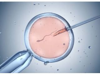 advanced-icsi-treatment-in-kolkata-uma-medical-small-0