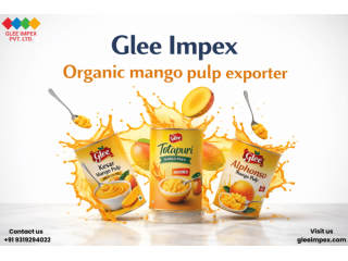 organic-mango-pulp-exporter-premium-quality-from-india-small-0