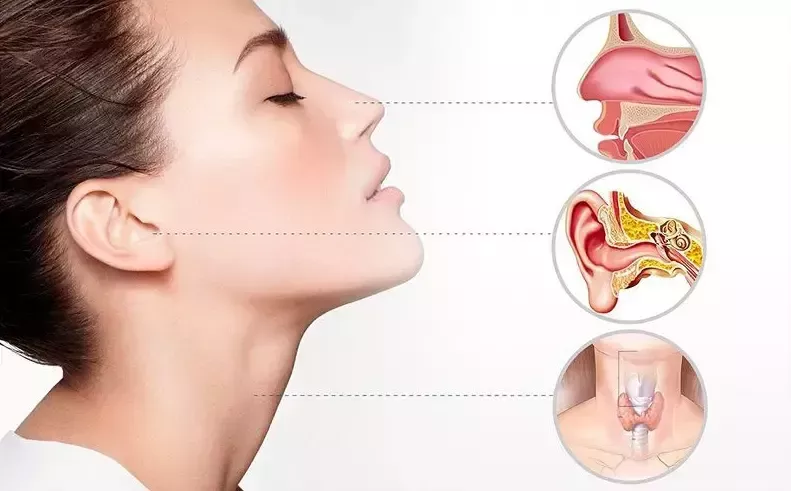 consultant-ent-surgeon-in-kolkata-big-0