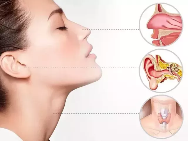consultant-ent-surgeon-in-kolkata