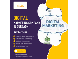 professional-digital-marketing-company-in-gurgaon-techprosense-small-0