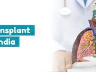 lung-transplant-price-in-india-transplant-counsellor
