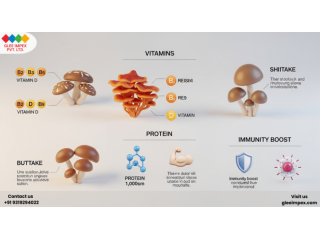 mushrooms-exporter-in-india-glee-impex-supplier-small-0