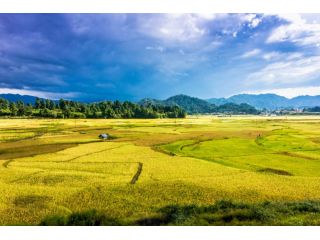 affordable-arunachal-pradesh-package-tour-from-surat-small-3