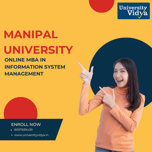 manipal-online-mba-in-ism-elite-information-systems-big-0