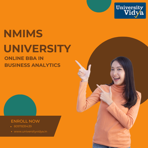 nmims-online-bba-in-business-analytics-elite-big-0