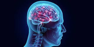 safe-brain-hemorrhage-operation-by-specialists-ir-facilities-big-0