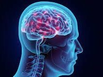 safe-brain-hemorrhage-operation-by-specialists-ir-facilities