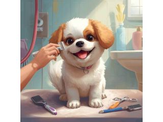 pet-grooming-service-at-home-in-chandigarh-small-0
