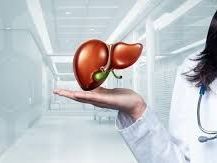 liver-specialist-doctor-in-ludhiana-for-expert-care