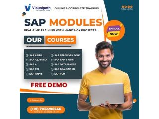 build-a-high-growth-sap-career-with-visualpath-now-today-small-0