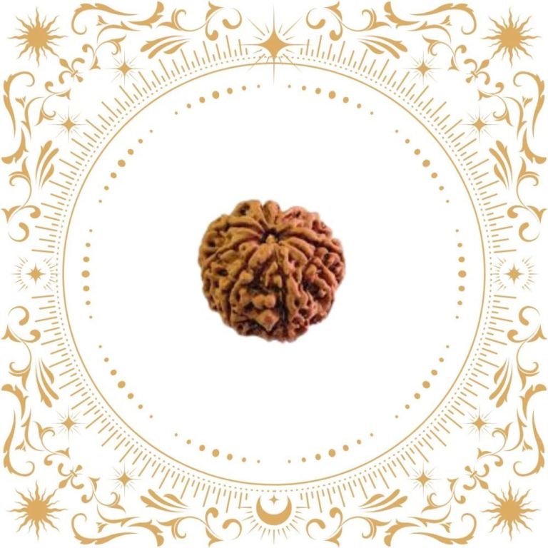 buy-8-mukhi-rudraksha-nepal-original-rudraksha-hart-big-1