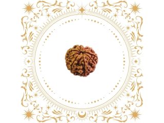 buy-8-mukhi-rudraksha-nepal-original-rudraksha-hart-small-1
