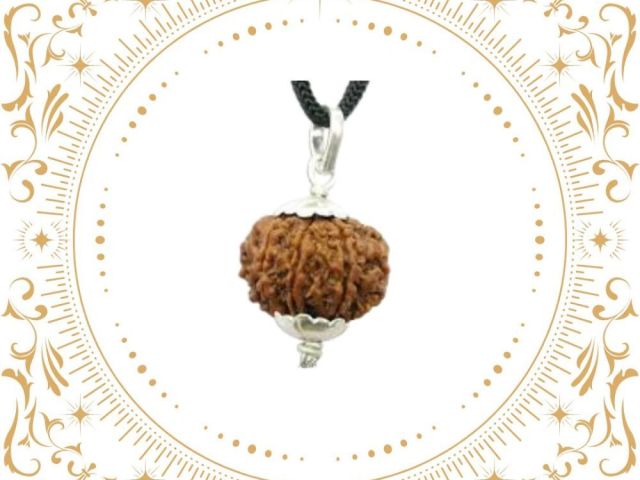 buy-8-mukhi-rudraksha-nepal-original-rudraksha-hart