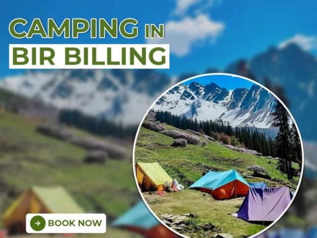 camping-in-bir-billing-for-adventure-and-nature-stay