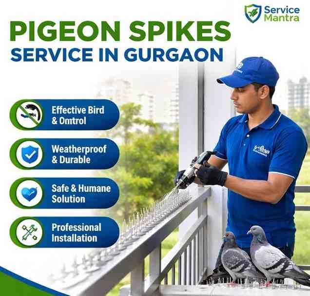 trusted-pigeon-spikes-service-in-gurgaon-big-0