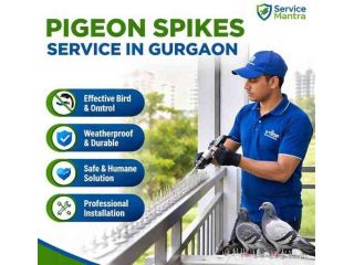 trusted-pigeon-spikes-service-in-gurgaon-small-0