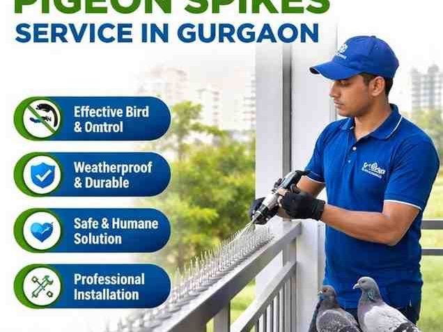 trusted-pigeon-spikes-service-in-gurgaon