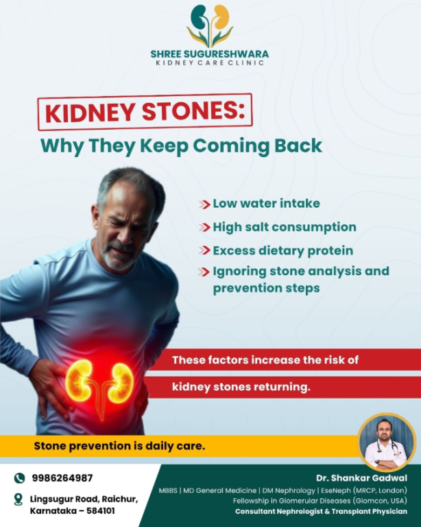 protect-your-kidneys-with-expert-care-in-raichur-big-0