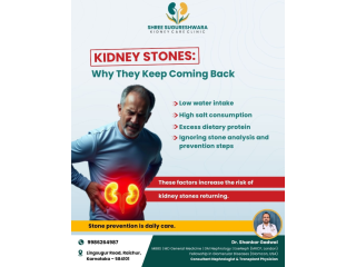 protect-your-kidneys-with-expert-care-in-raichur-small-0