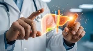 liver-disease-treatment-ahmedabad-with-expert-care-big-0