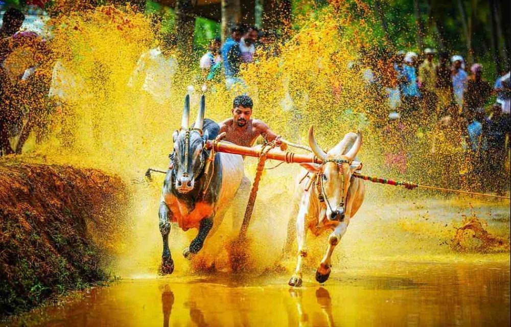 unforgettable-family-adventures-across-incredible-india-big-0