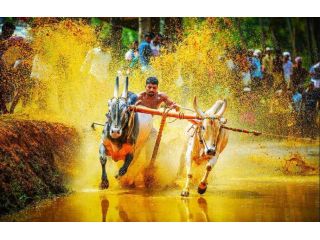 unforgettable-family-adventures-across-incredible-india-small-0