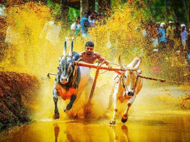 unforgettable-family-adventures-across-incredible-india
