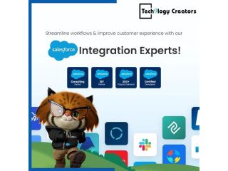 hire-a-trusted-salesforce-integration-partner-for-your-business-small-0