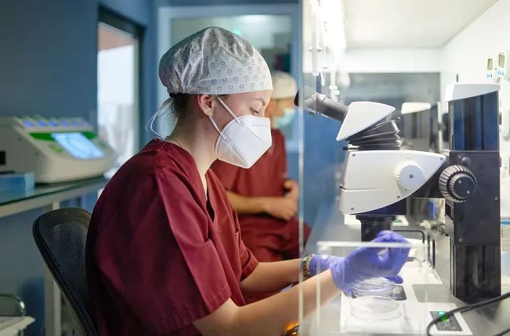 in-vitro-fertilization-in-india-with-expert-care-arcivf-com-big-0