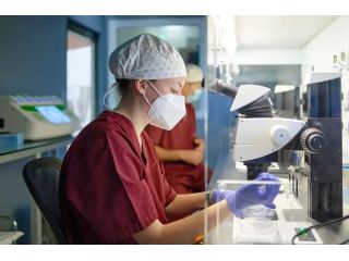 in-vitro-fertilization-in-india-with-expert-care-arcivf-com-small-0