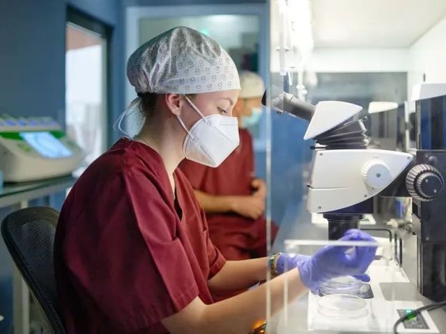 in-vitro-fertilization-in-india-with-expert-care-arcivf-com