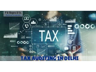 complete-tax-audit-solutions-in-delhi-for-companies-small-0