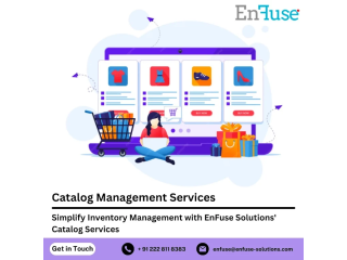 simplify-inventory-management-with-enfuses-catalog-services-small-0