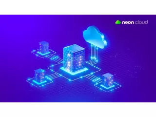 managed-erp-cloud-hosting-neon-cloud-small-0