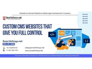 custom-cms-websites-that-give-you-full-control-small-0