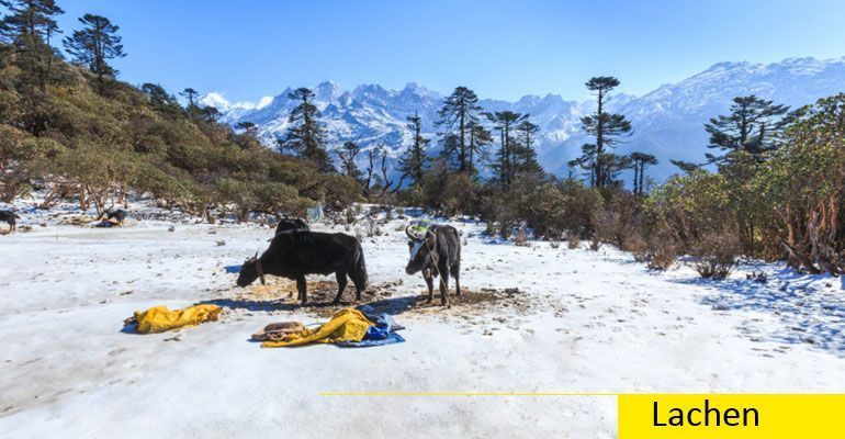 exclusive-north-sikkim-package-tour-from-mumbai-big-1