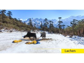 exclusive-north-sikkim-package-tour-from-mumbai-small-1