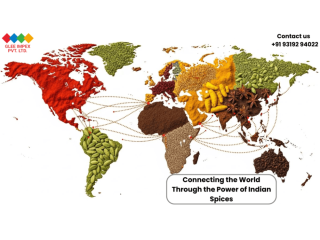 trusted-spices-exporter-in-india-premium-quality-by-glee-impex-small-0