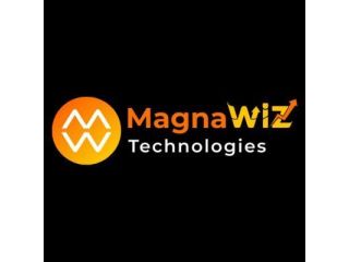 digital-marketing-services-by-magnawiz-technologies-small-0