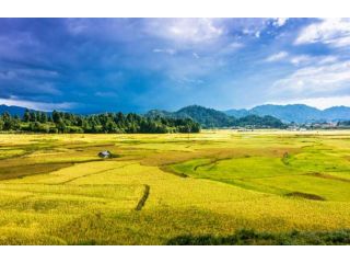 ahmedabad-to-bhutan-tour-packages-with-flight-small-2