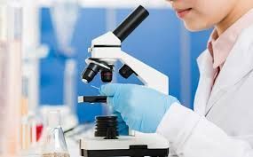 bsc-medical-microbiology-college-in-dehradun-kiims-big-0