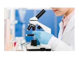 bsc-medical-microbiology-college-in-dehradun-kiims-small-0