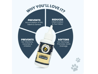 listen-to-their-comfort-the-power-of-clear-ear-small-1