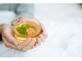 herbal-tea-for-gut-health-gentle-care-for-a-healthy-gut-small-0