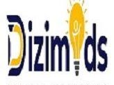 digital-marketing-review-service-dizimods